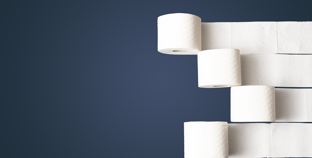 Toilettenpapier Recycling 2-lagig Großhandel Österreich