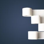 Toilettenpapier Recycling 2-lagig Großhandel Österreich